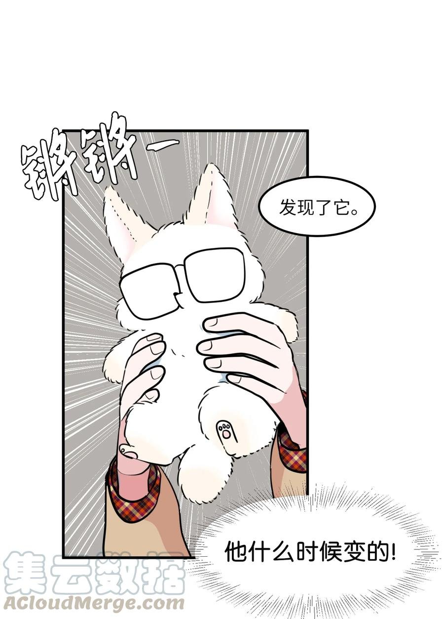 70 寻勇士头发记2