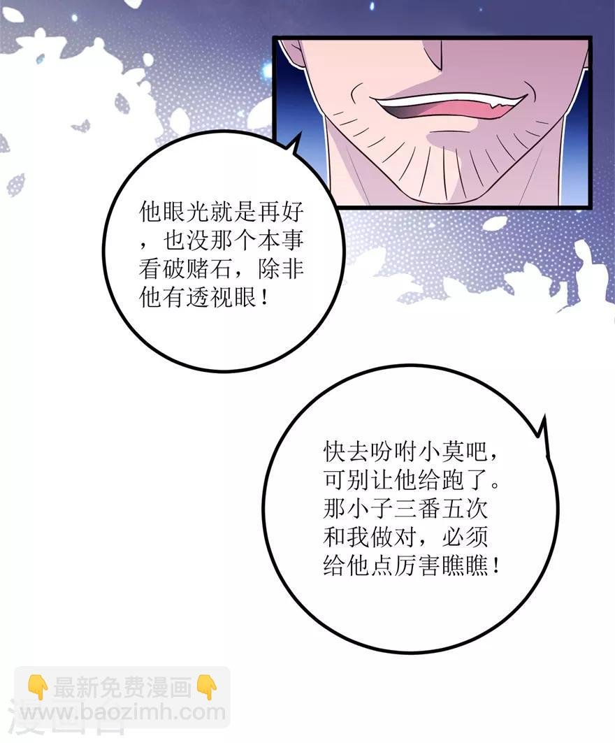 第86话 新开的缅甸赌石坊