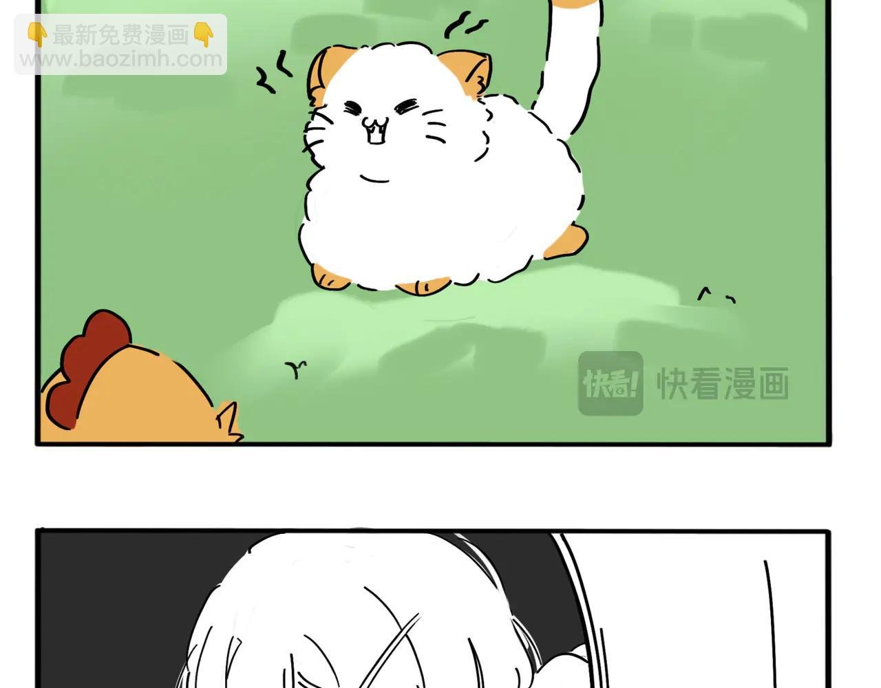 02.禁止人身攻鸡！