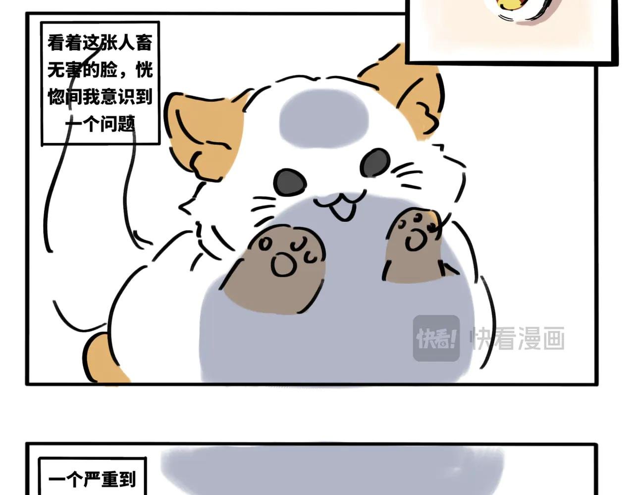 02.禁止人身攻鸡！