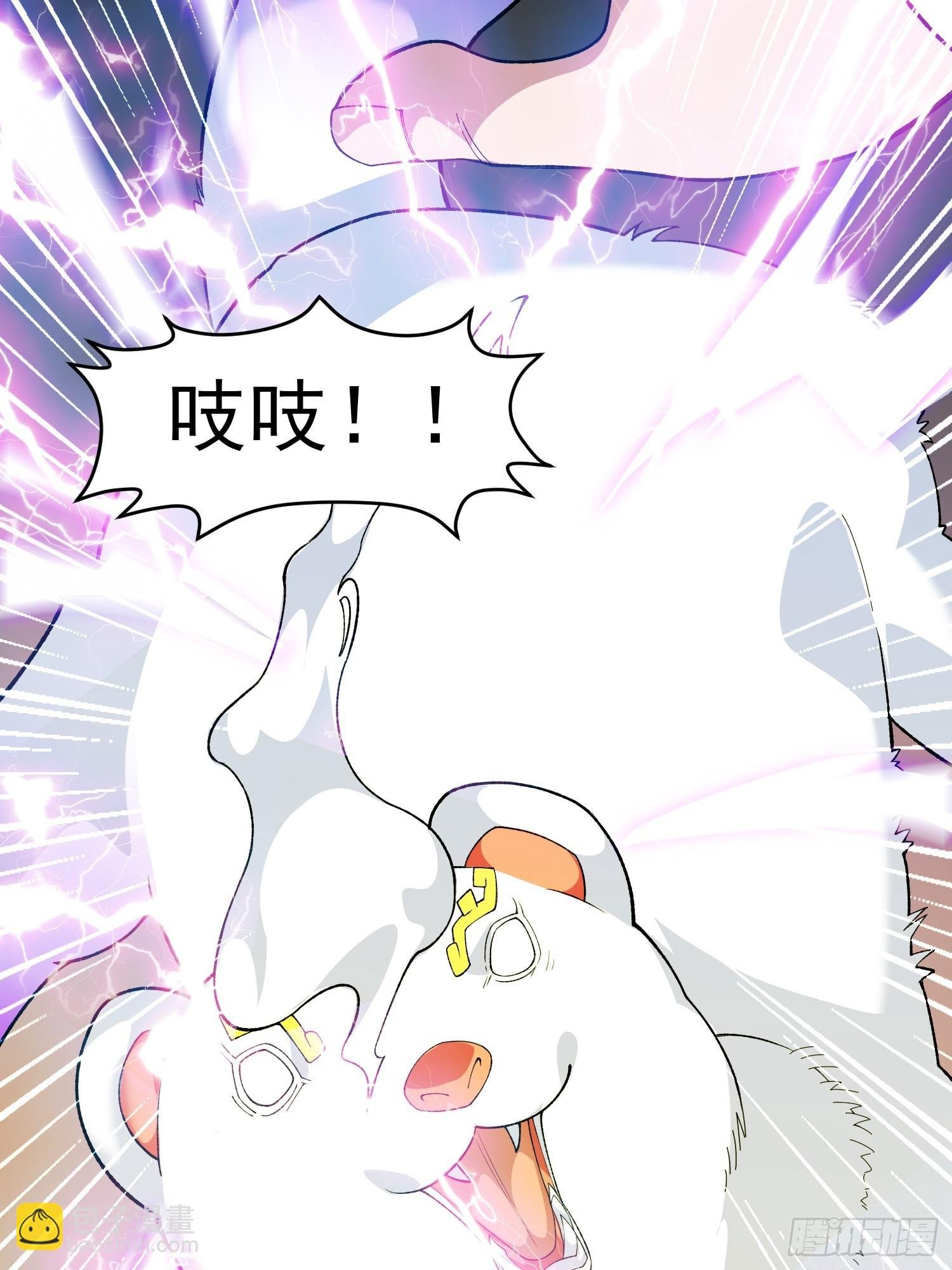 第10话 雷电貂？