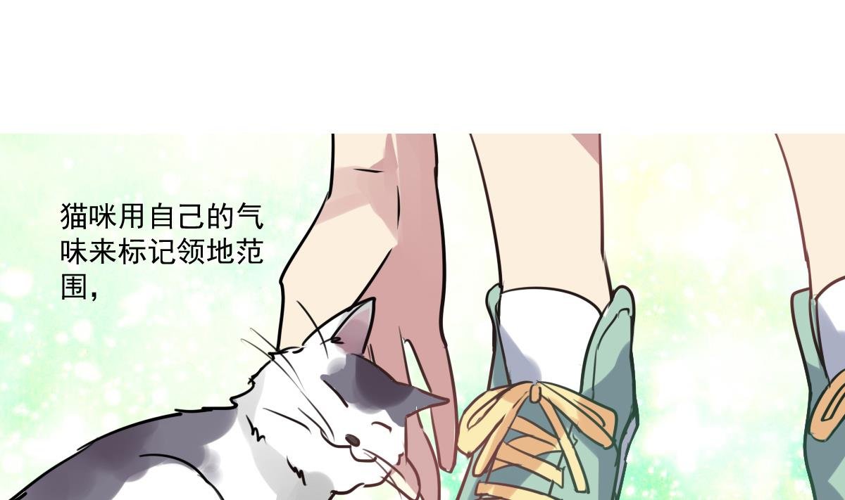 第53话 你的歌