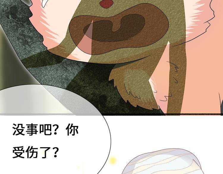 第十话 青丘狐（四）