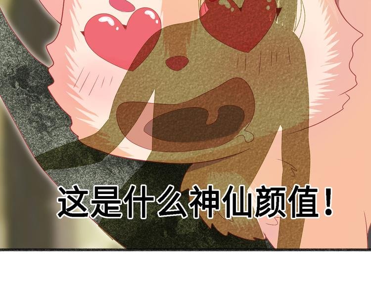 第十话 青丘狐（四）