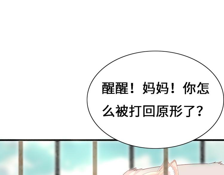 第九话 青丘狐（三）