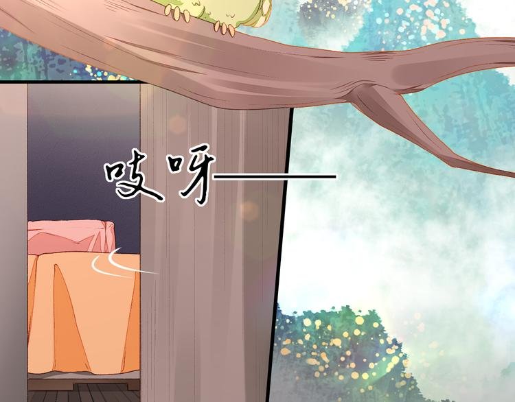 第三话 子规啼（二）