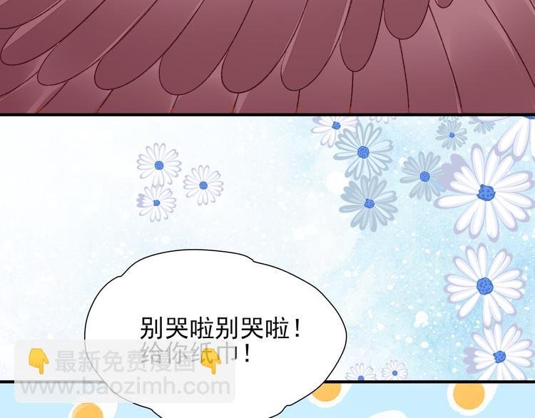 第三话 子规啼（二）