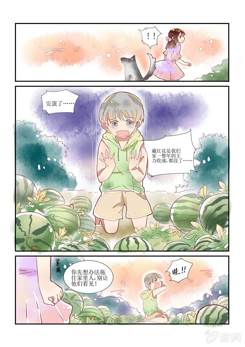 第13回