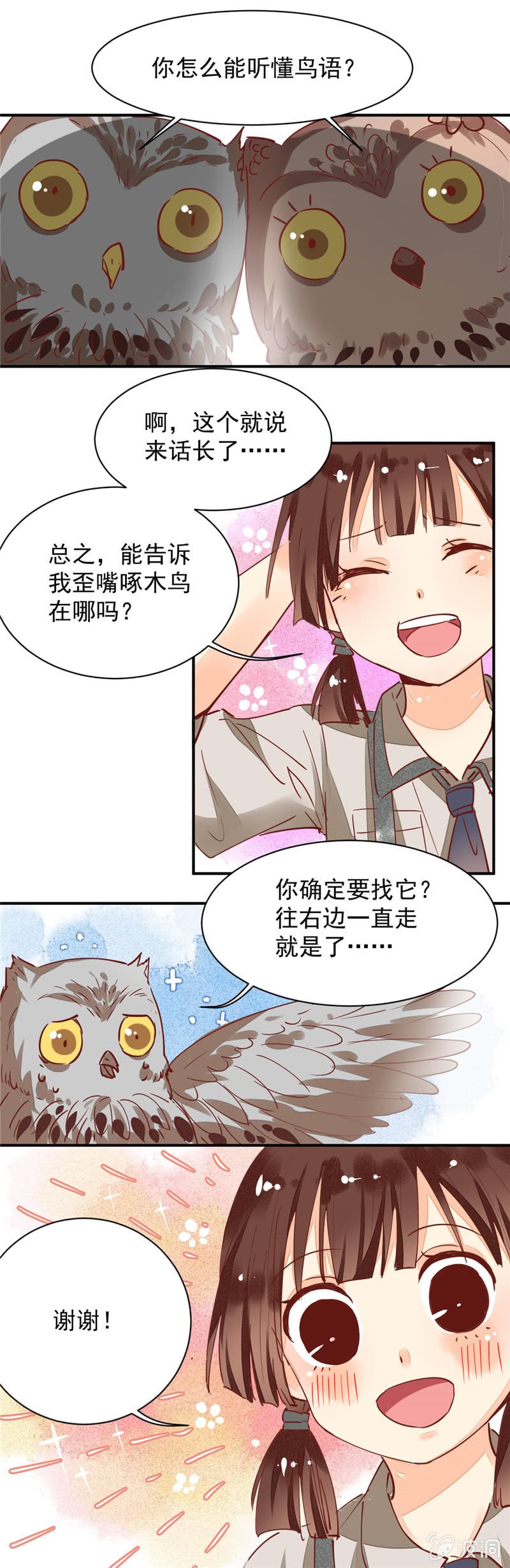 第33回
