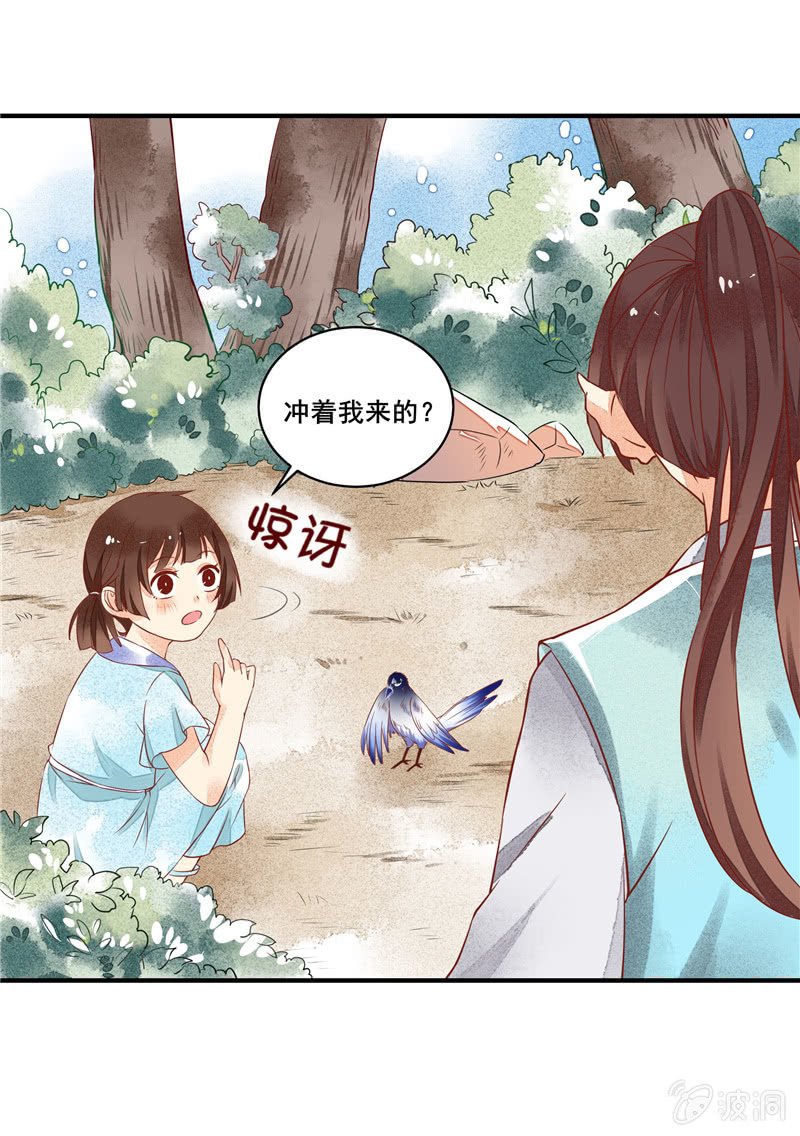 第48章