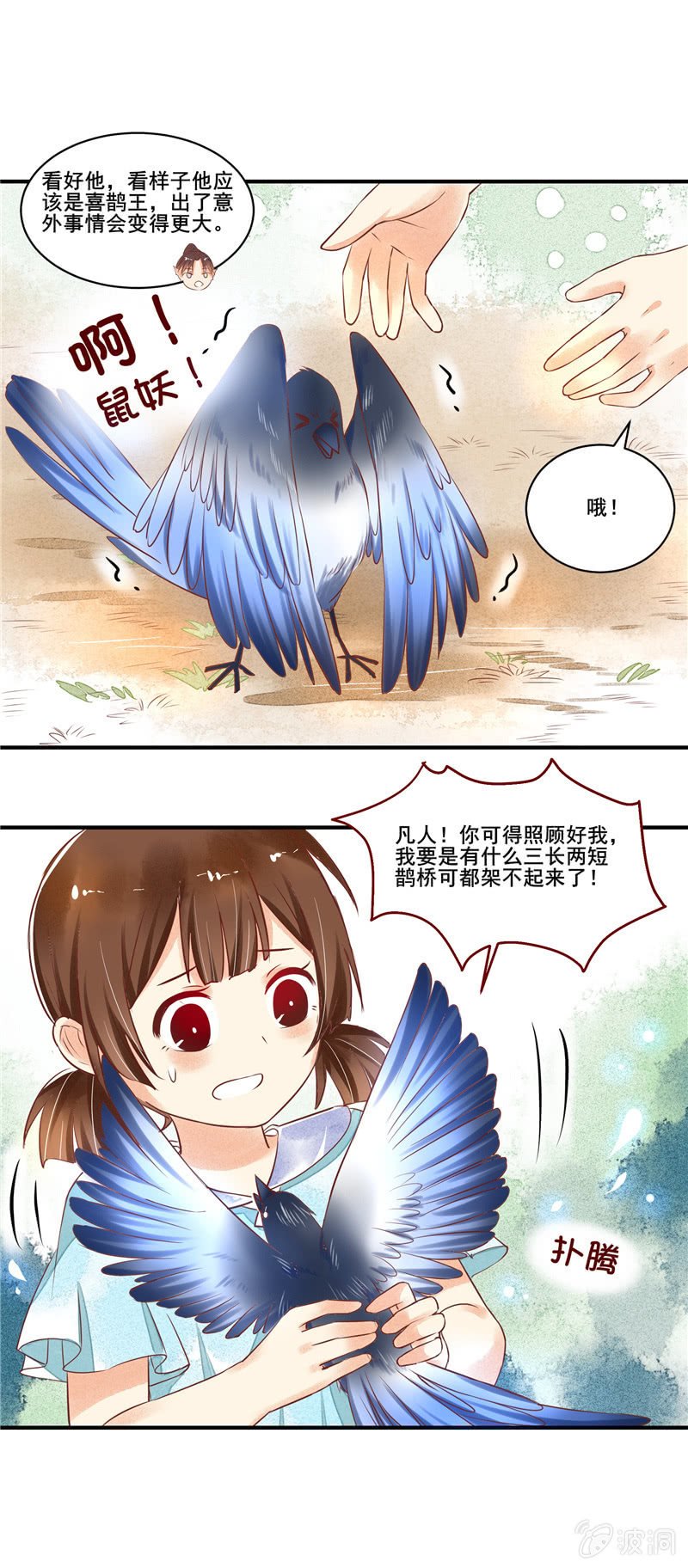 第49章（上）