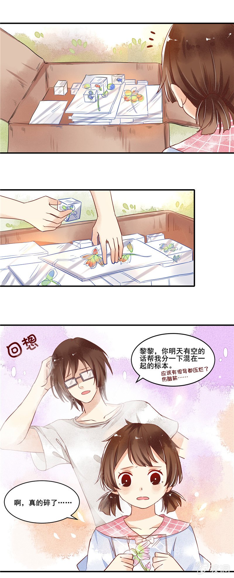 第50章