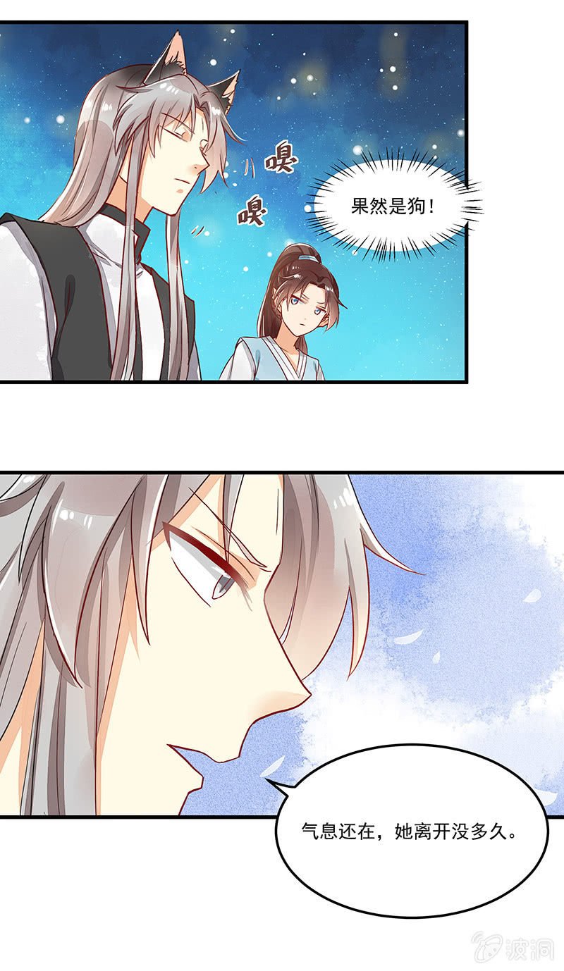 第66章