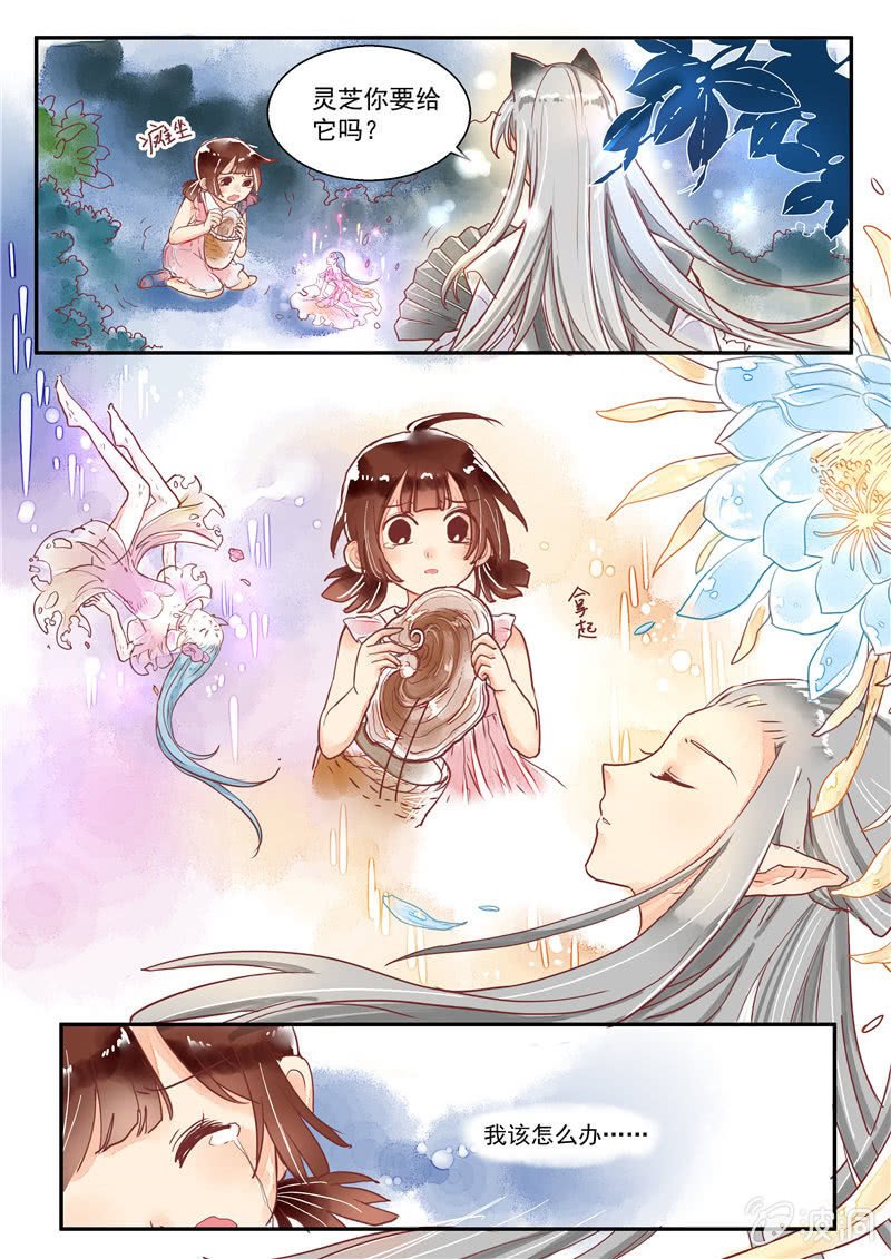 第八回