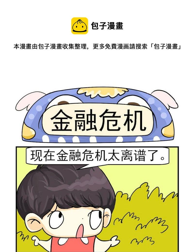 4 金融危机