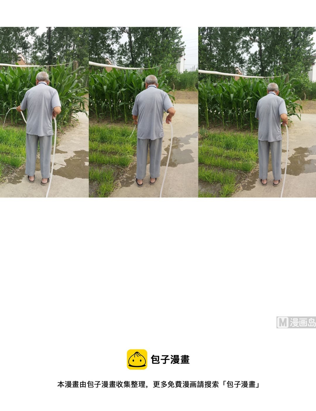 老犟驴