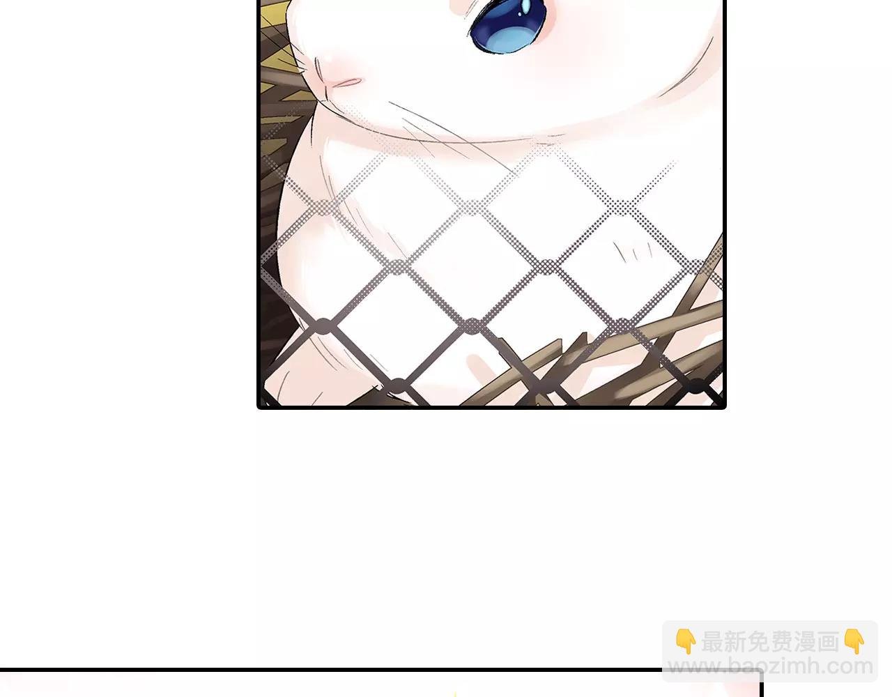 第4话 小雏
