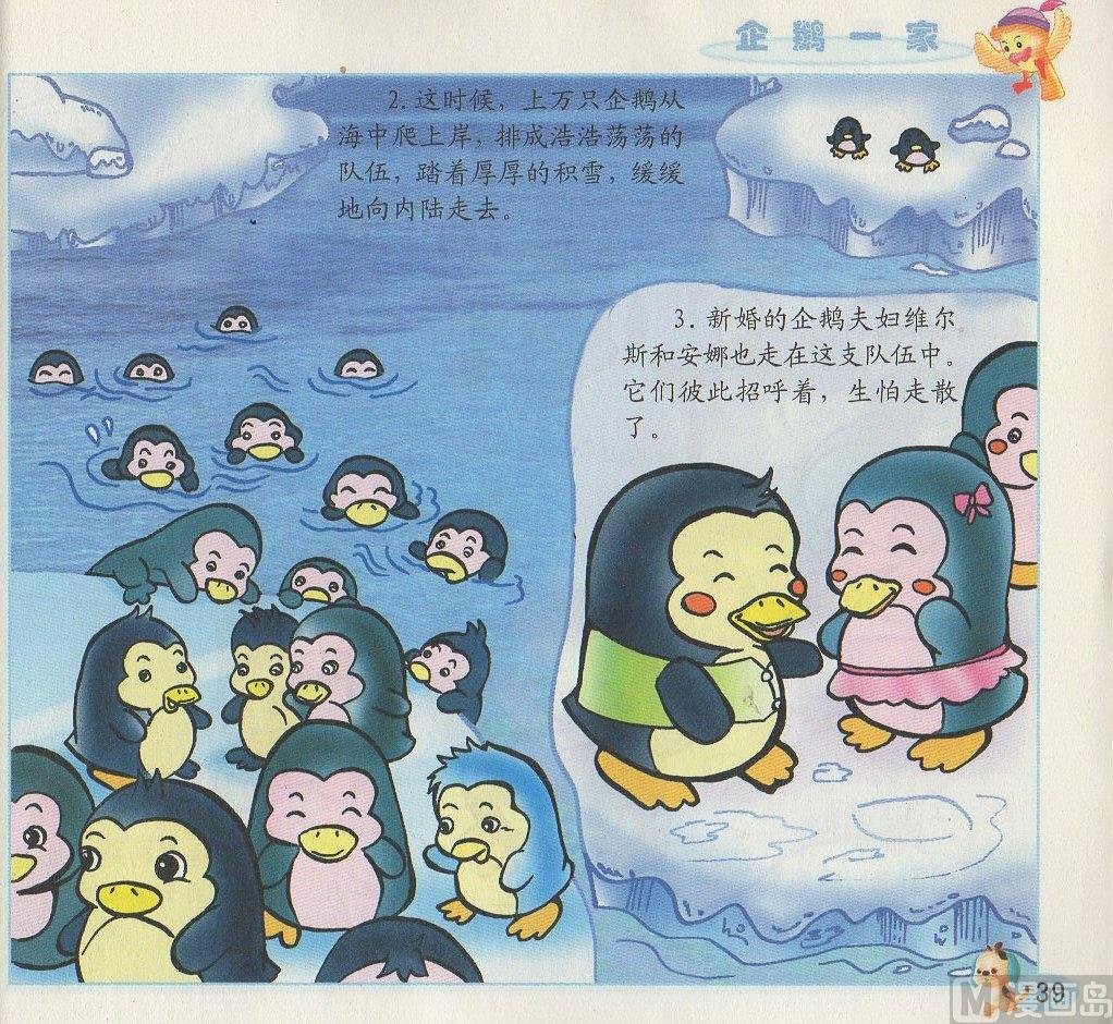 3 企鹅一家