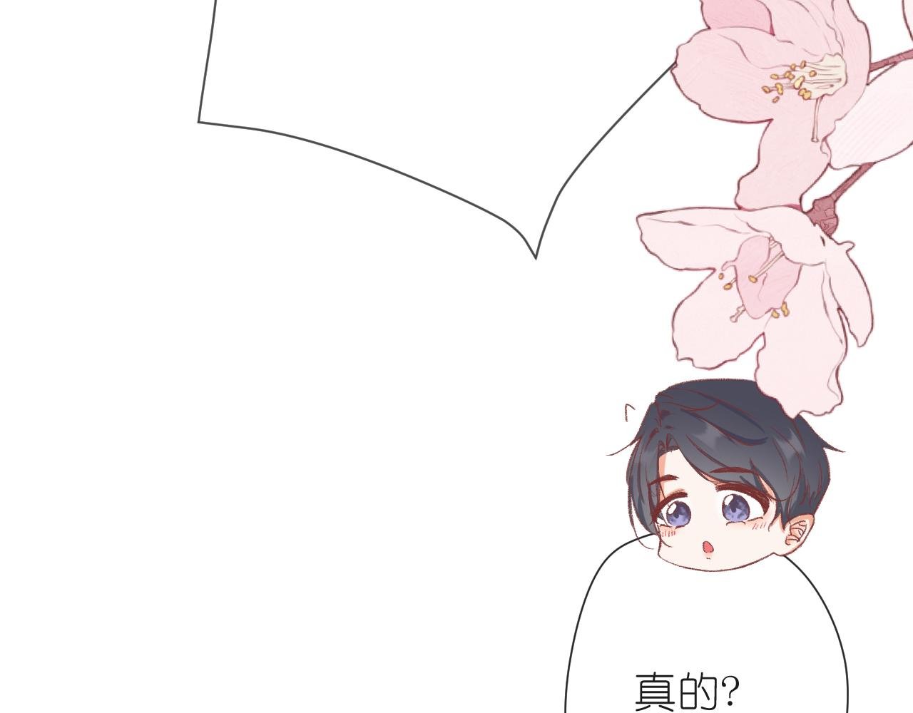 计划开始