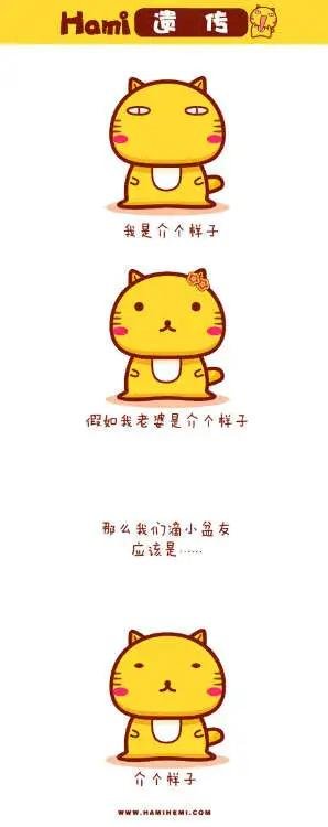 第11-20回