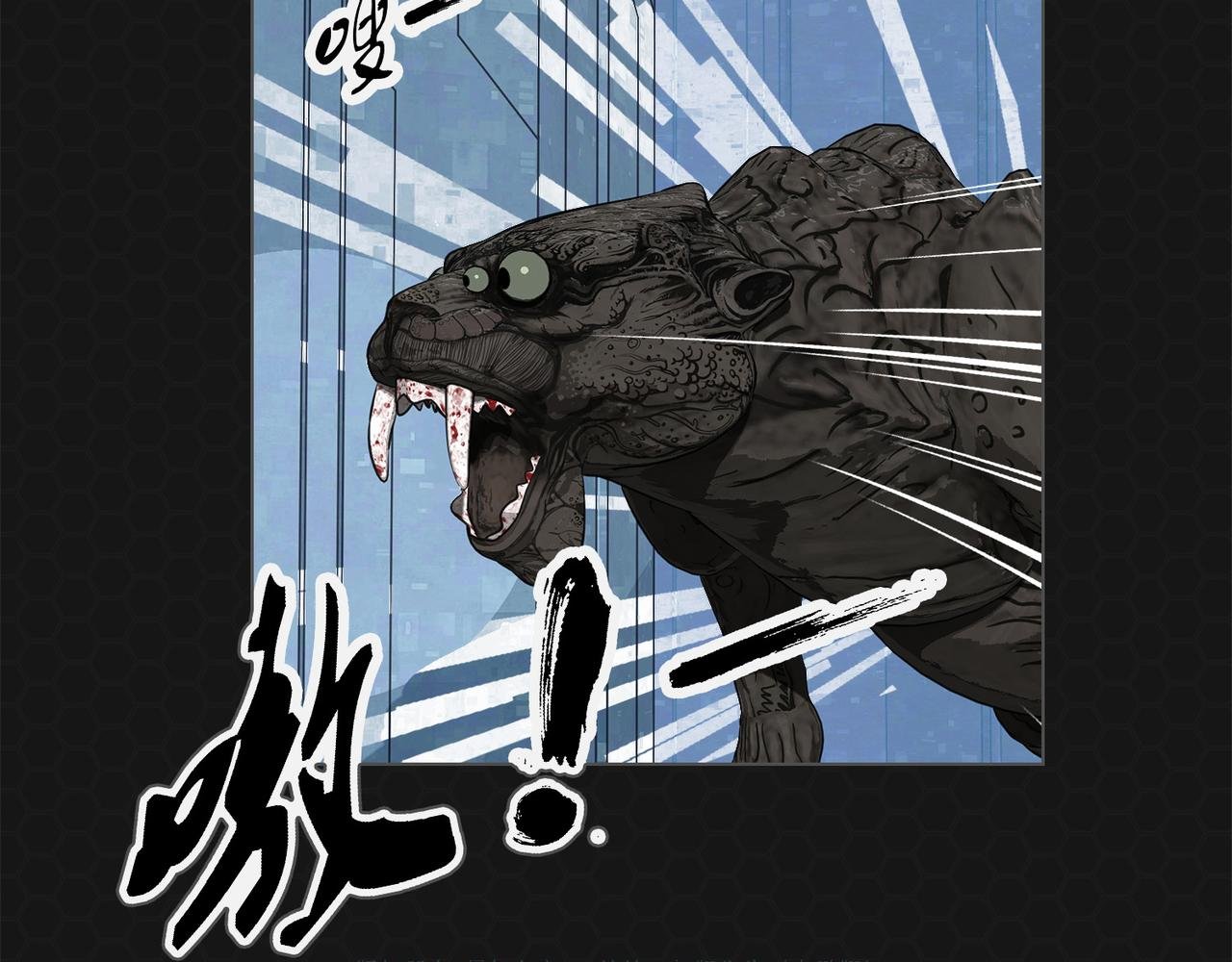 006黑豹来袭