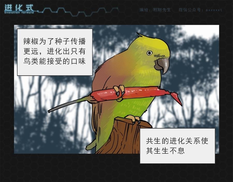 013进化启程
