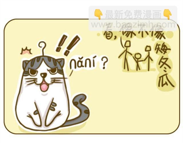喵主子的赏赐