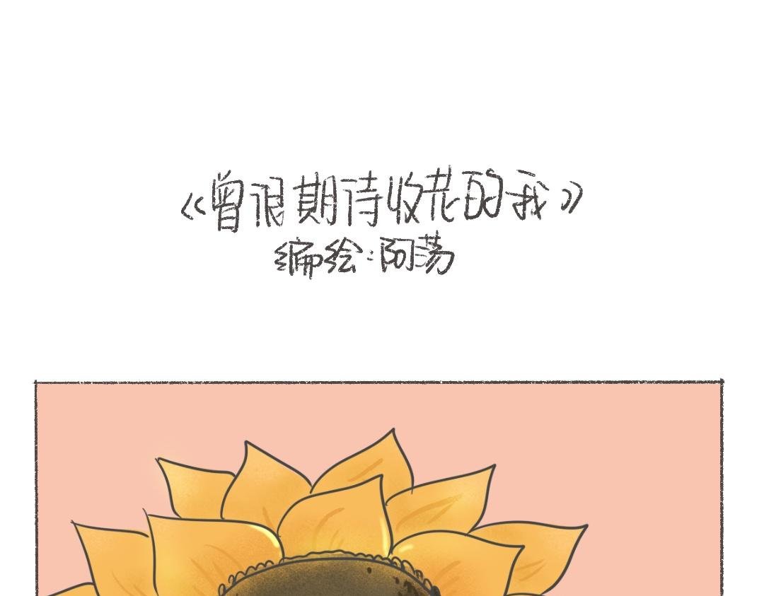 曾很期待收花的我