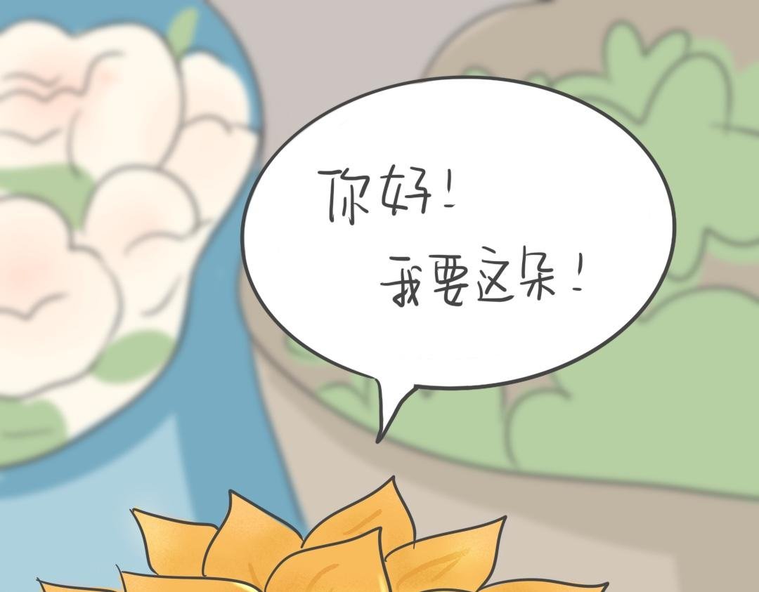 曾很期待收花的我