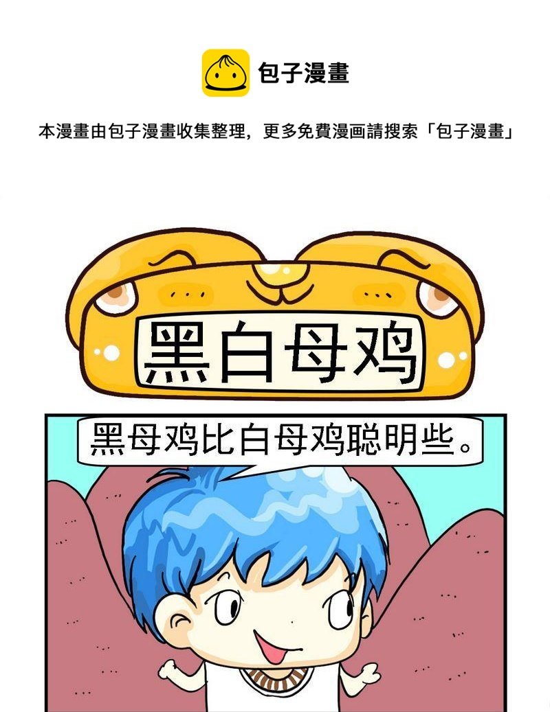 1 黑白母鸡