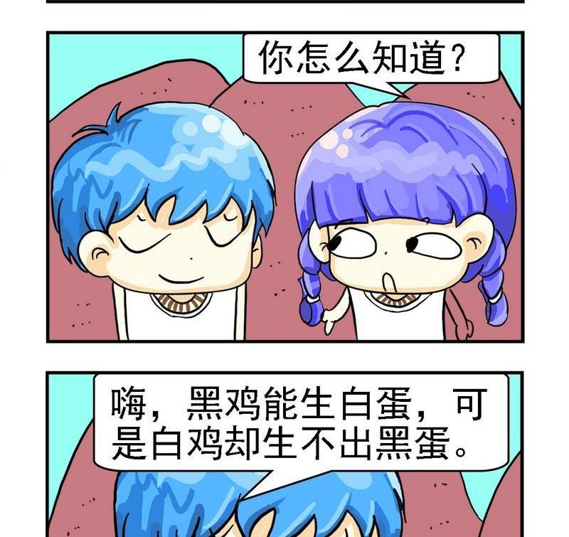 1 黑白母鸡