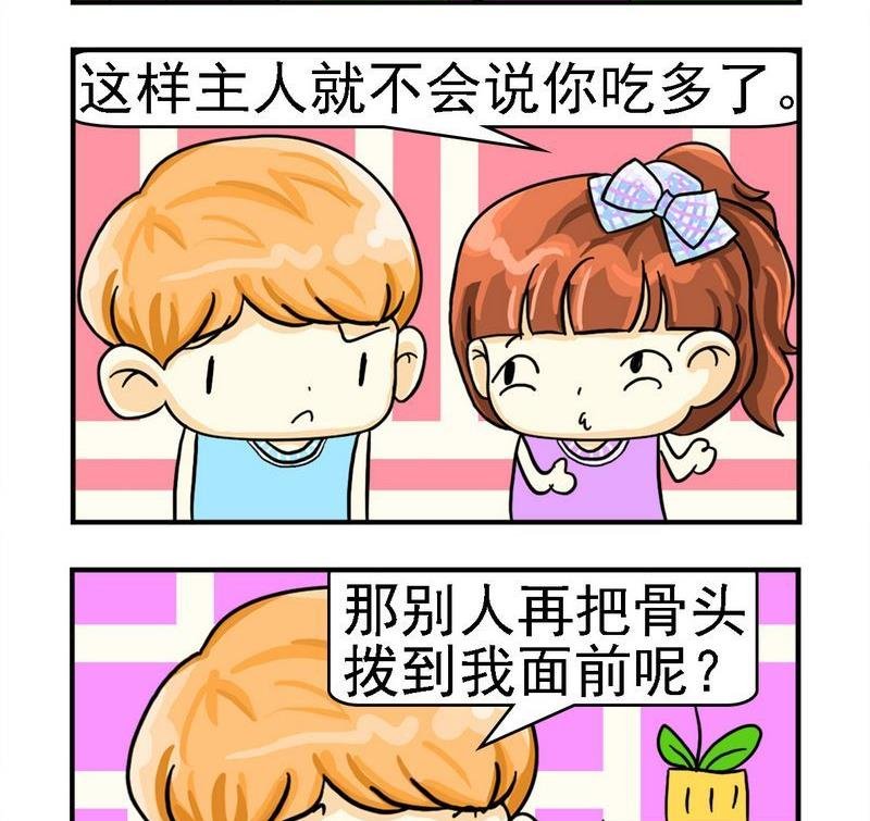 5 厚脸皮