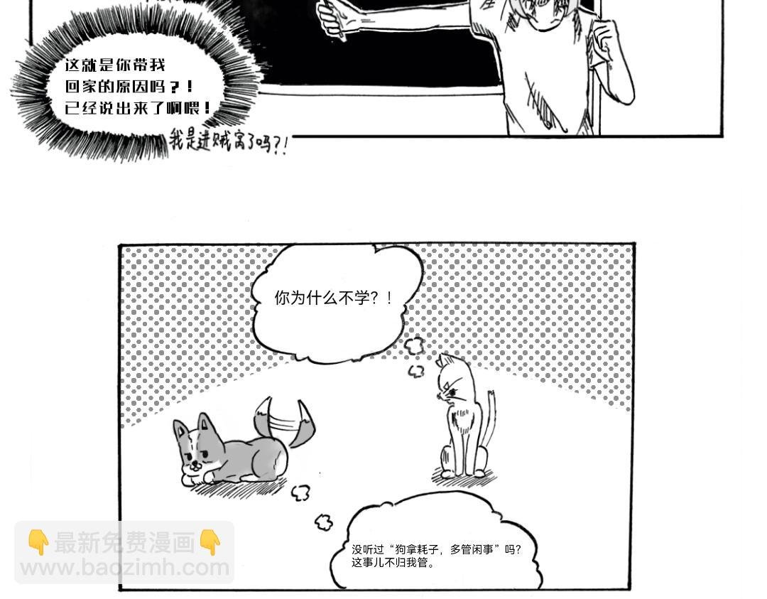 一周年特别篇！！！