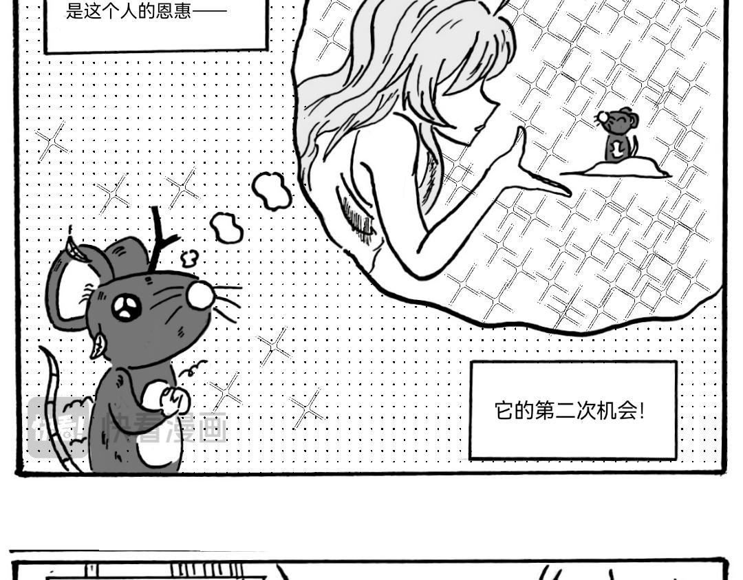 捡个猫猫有大用