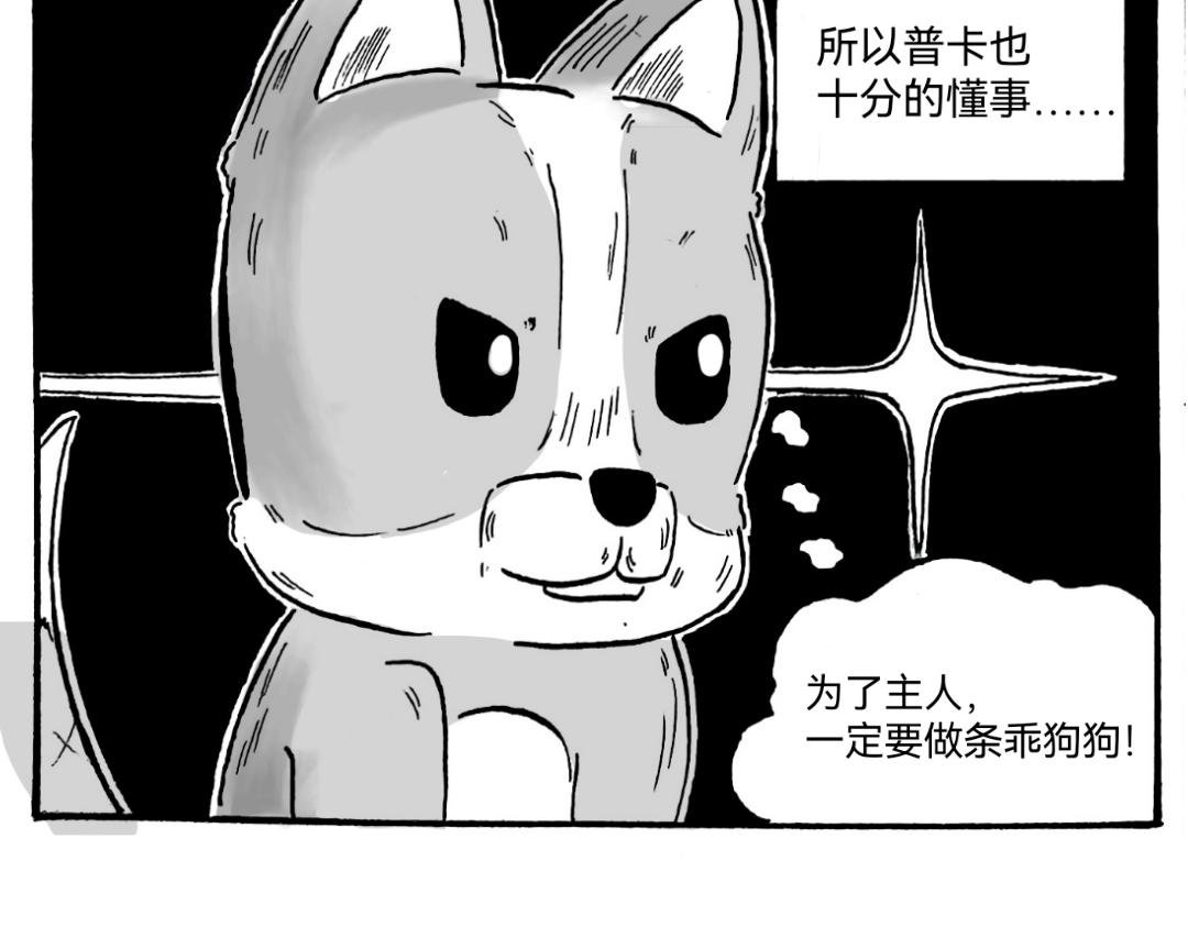 捡个猫猫有大用
