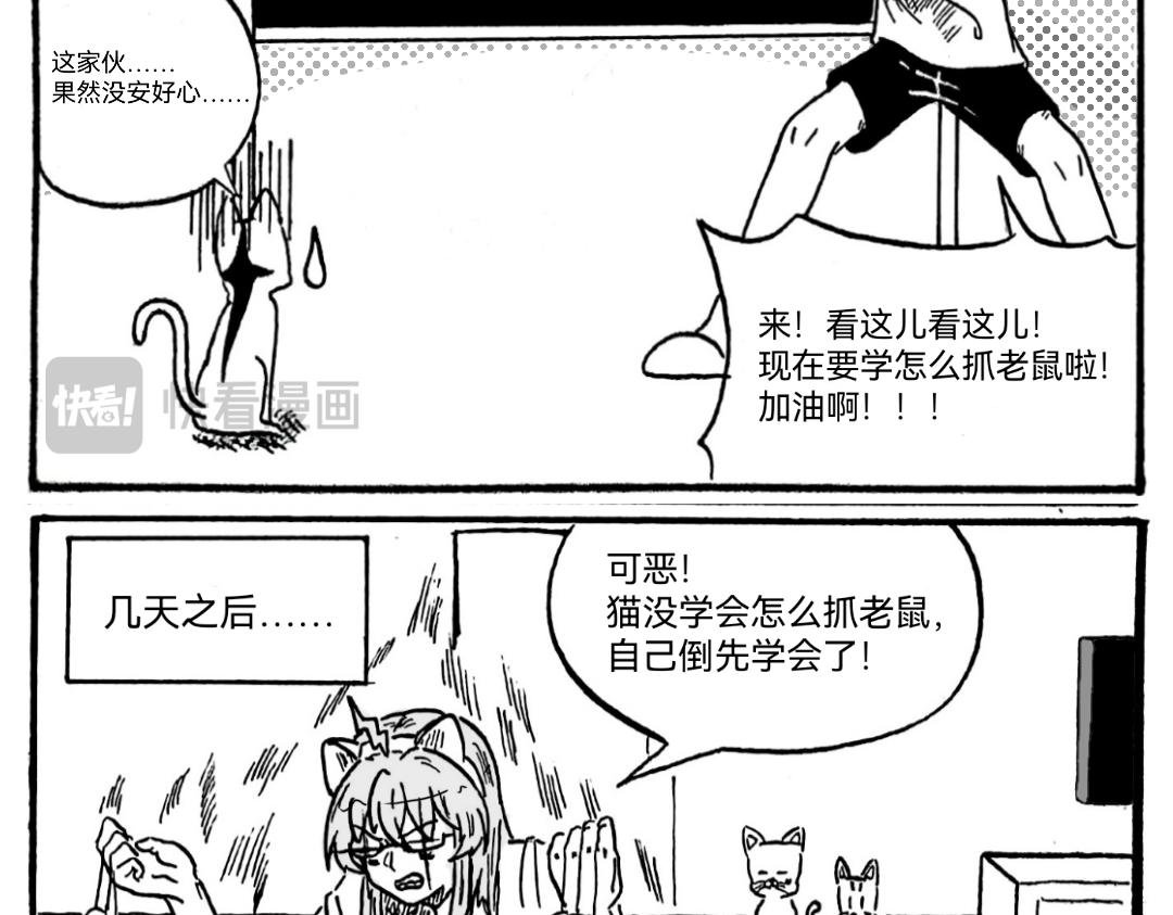 捡个猫猫有大用