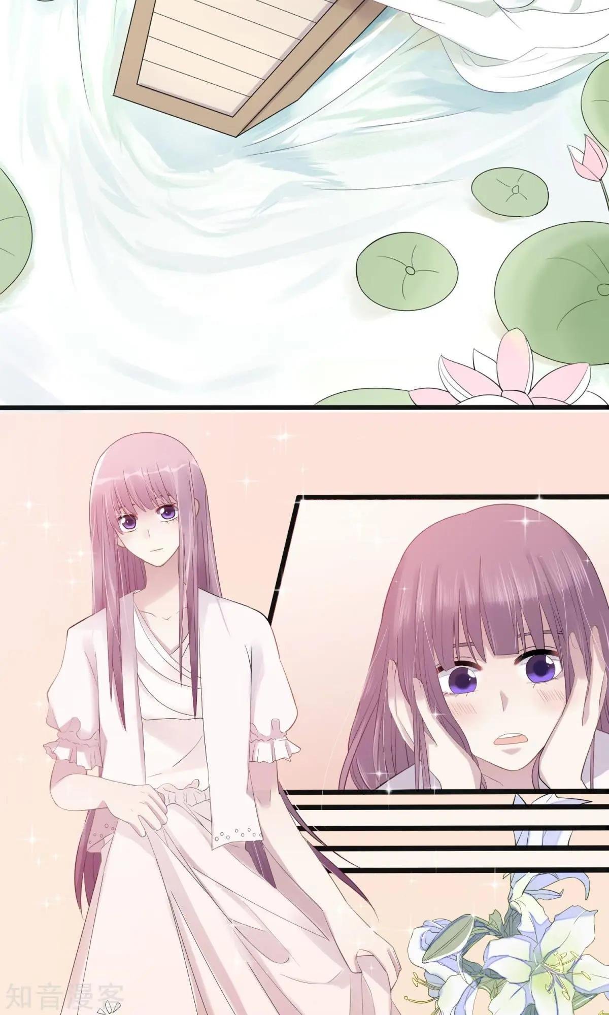 预告