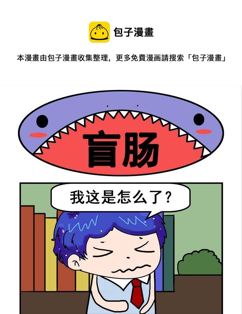 6 盲肠