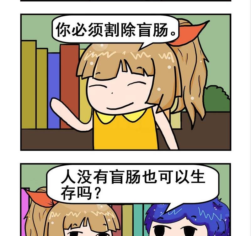 6 盲肠
