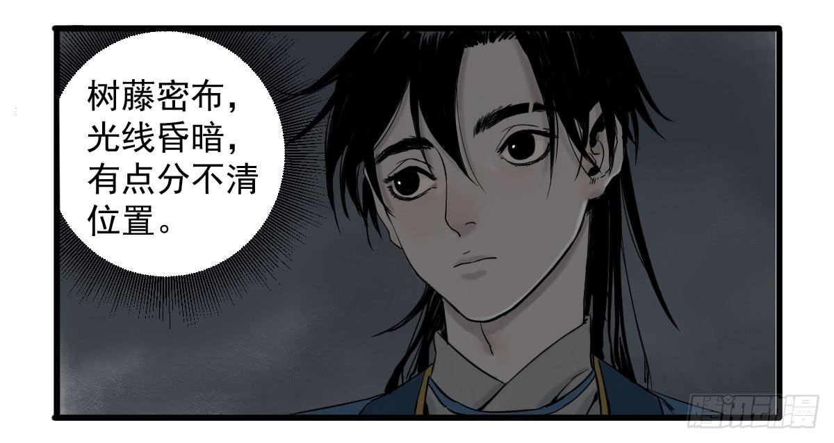 11-迷魂阵起