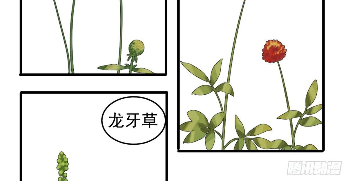 7-碧落险Ⅱ