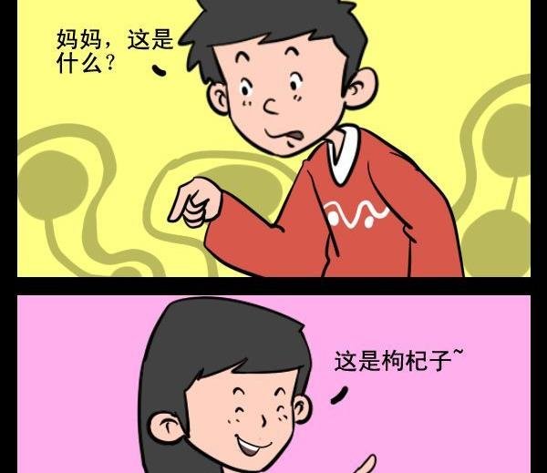 1 枸杞