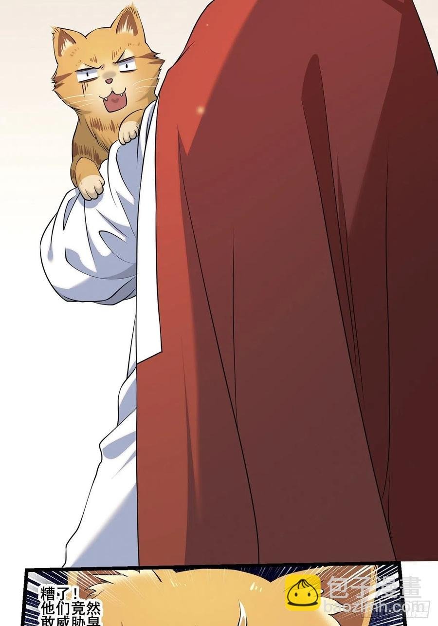 猫灵2