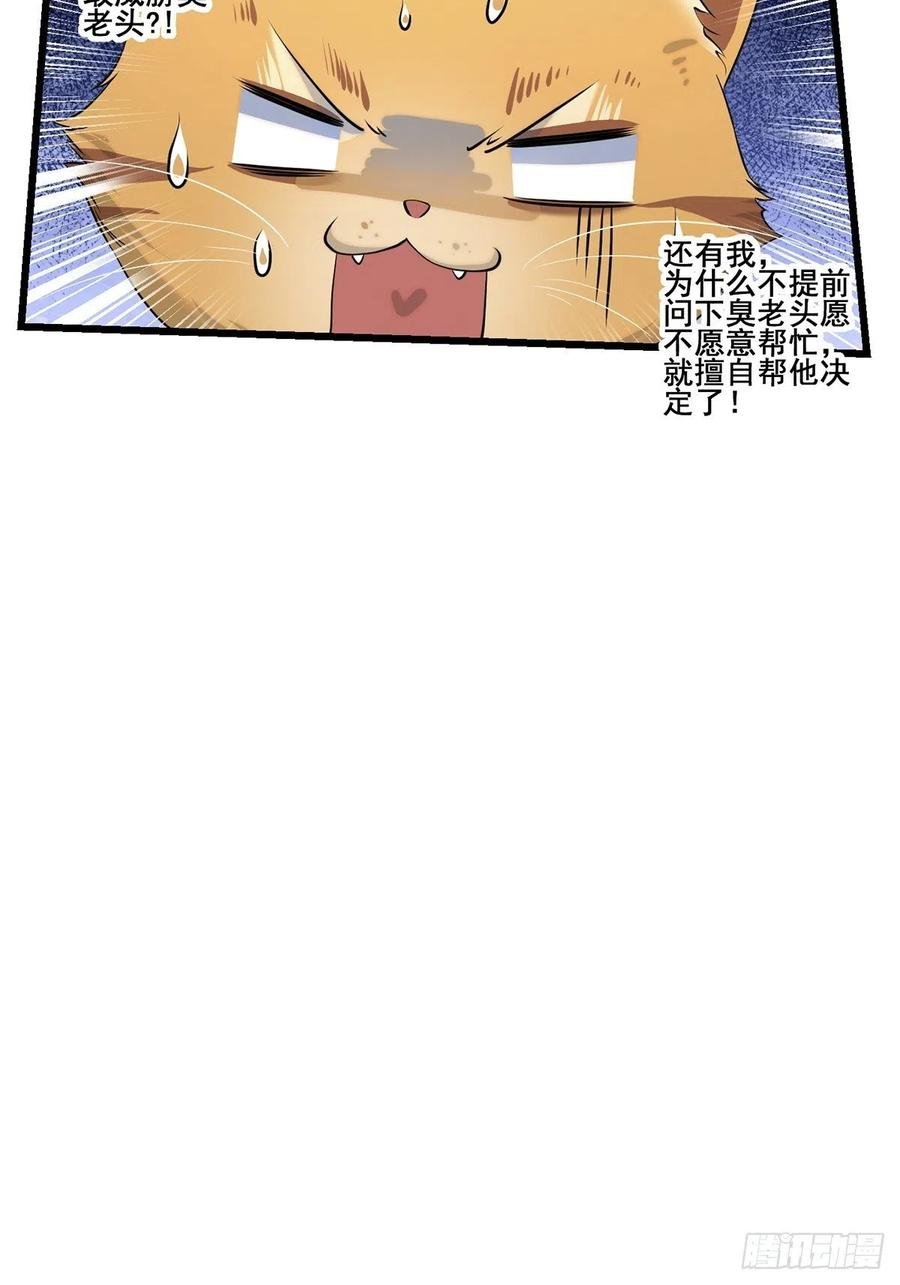 猫灵2