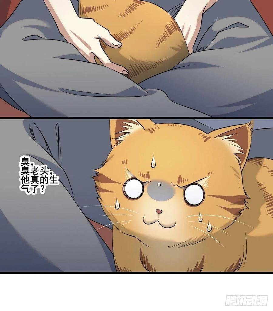 猫灵2