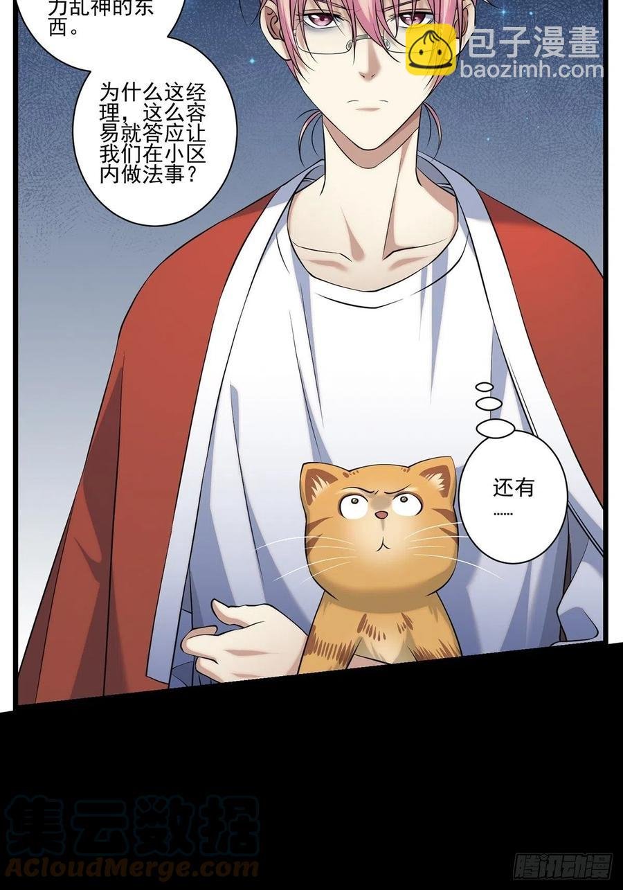 猫灵2