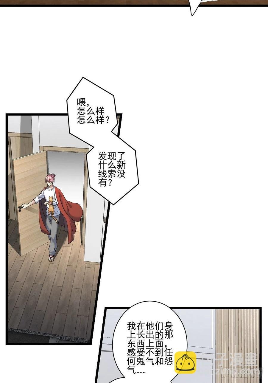 猫灵2