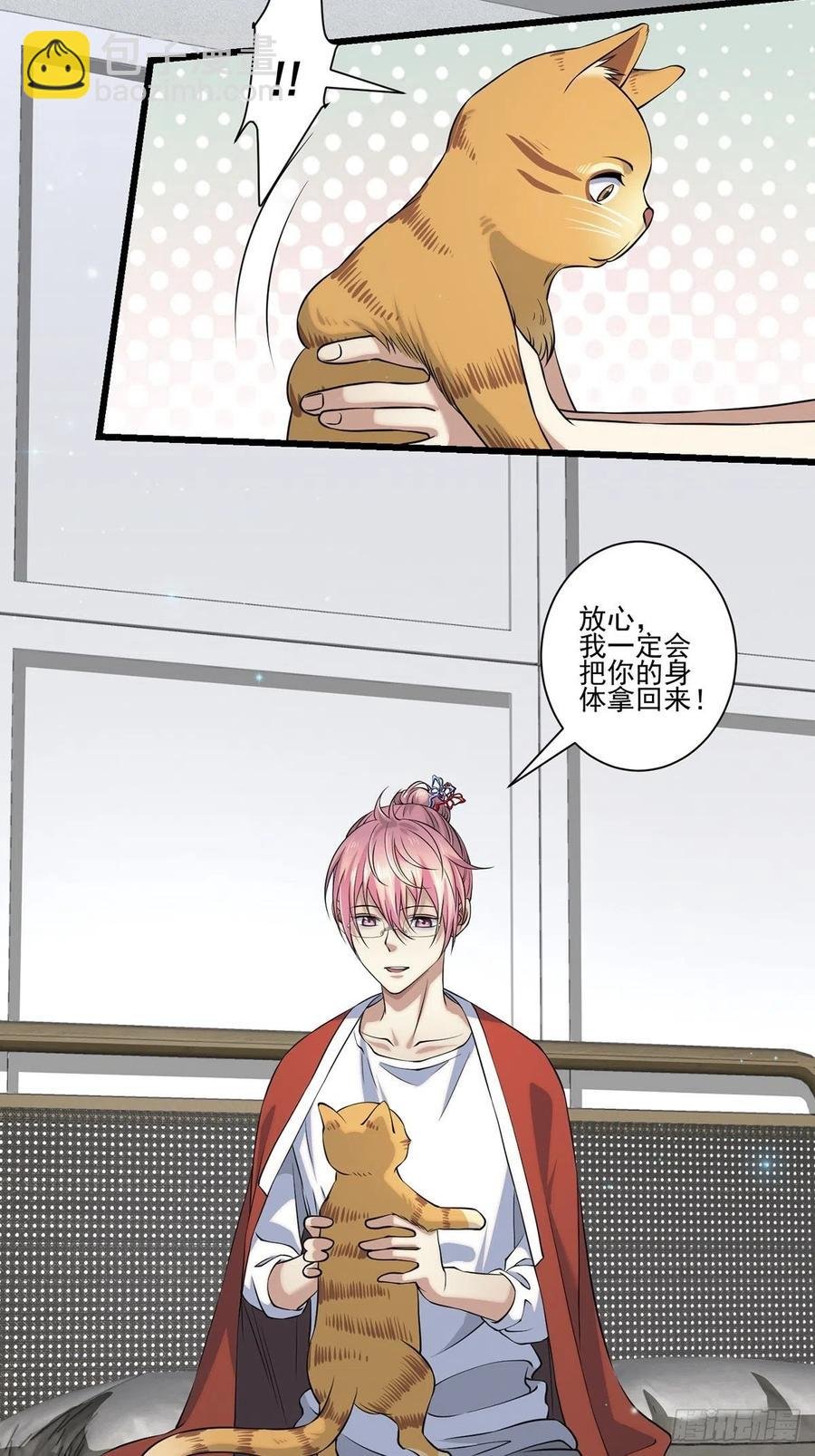 猫灵2