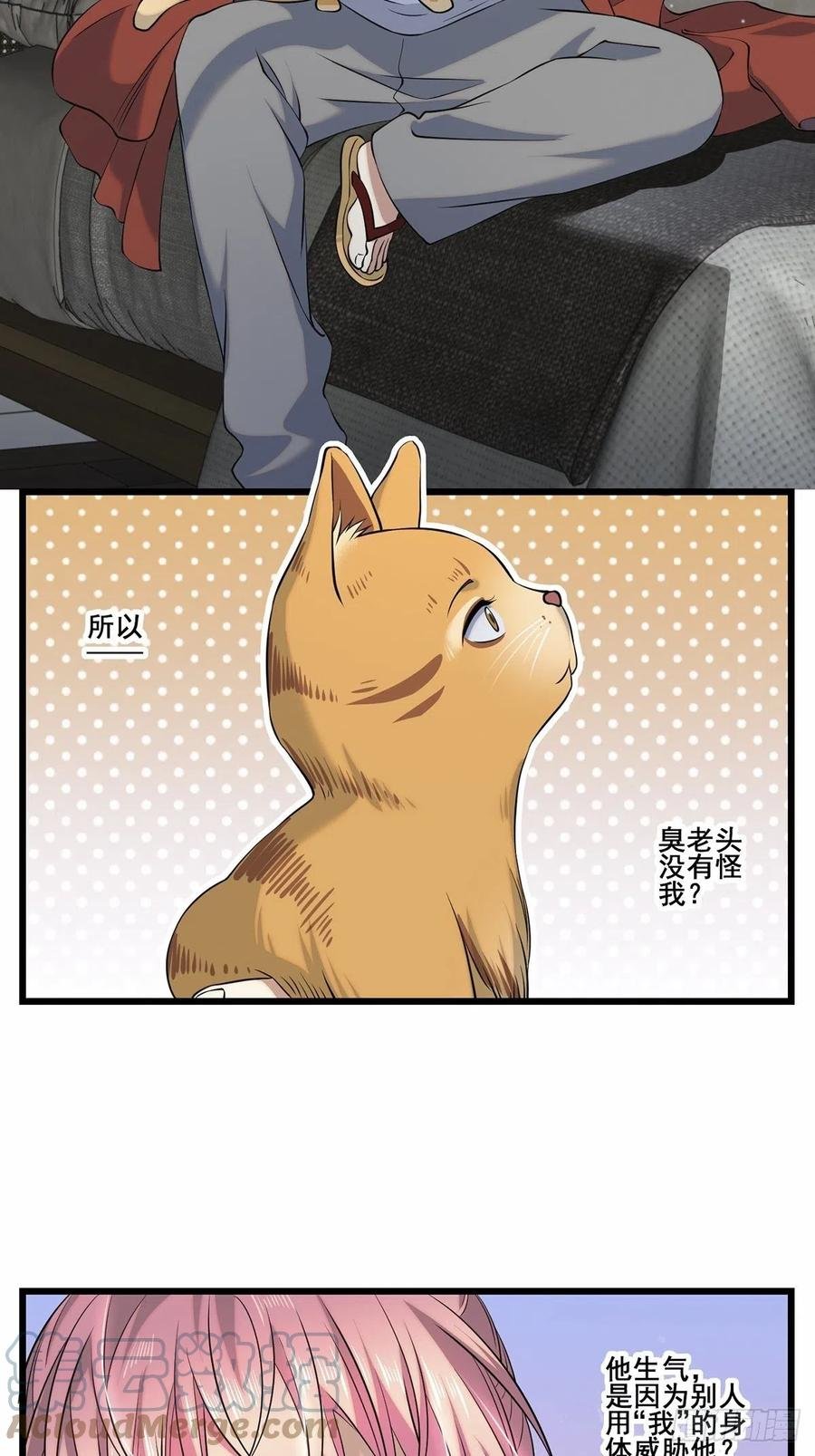 猫灵2