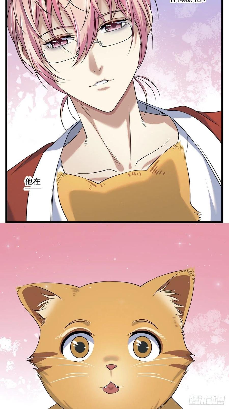 猫灵2